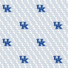 Load image into Gallery viewer, University of Kentucky Zipper Bag