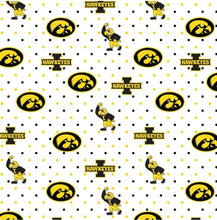 Load image into Gallery viewer, University of Iowa Hawkeyes Zipper Bag