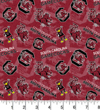 Load image into Gallery viewer, University of South Carolina Zipper Bag