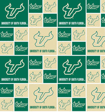Load image into Gallery viewer, University of South Florida Zipper Bag