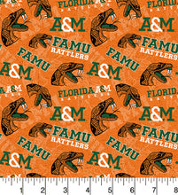 Load image into Gallery viewer, Florida A&M University Rattlers Zipper Bag