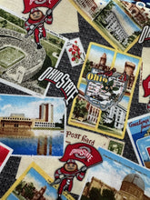 Load image into Gallery viewer, Ohio State University Zipper Bag