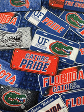 Load image into Gallery viewer, Florida Gators UF License Plates Zipper Bag