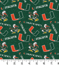 Load image into Gallery viewer, University of Miami Hurricanes Zipper Bag