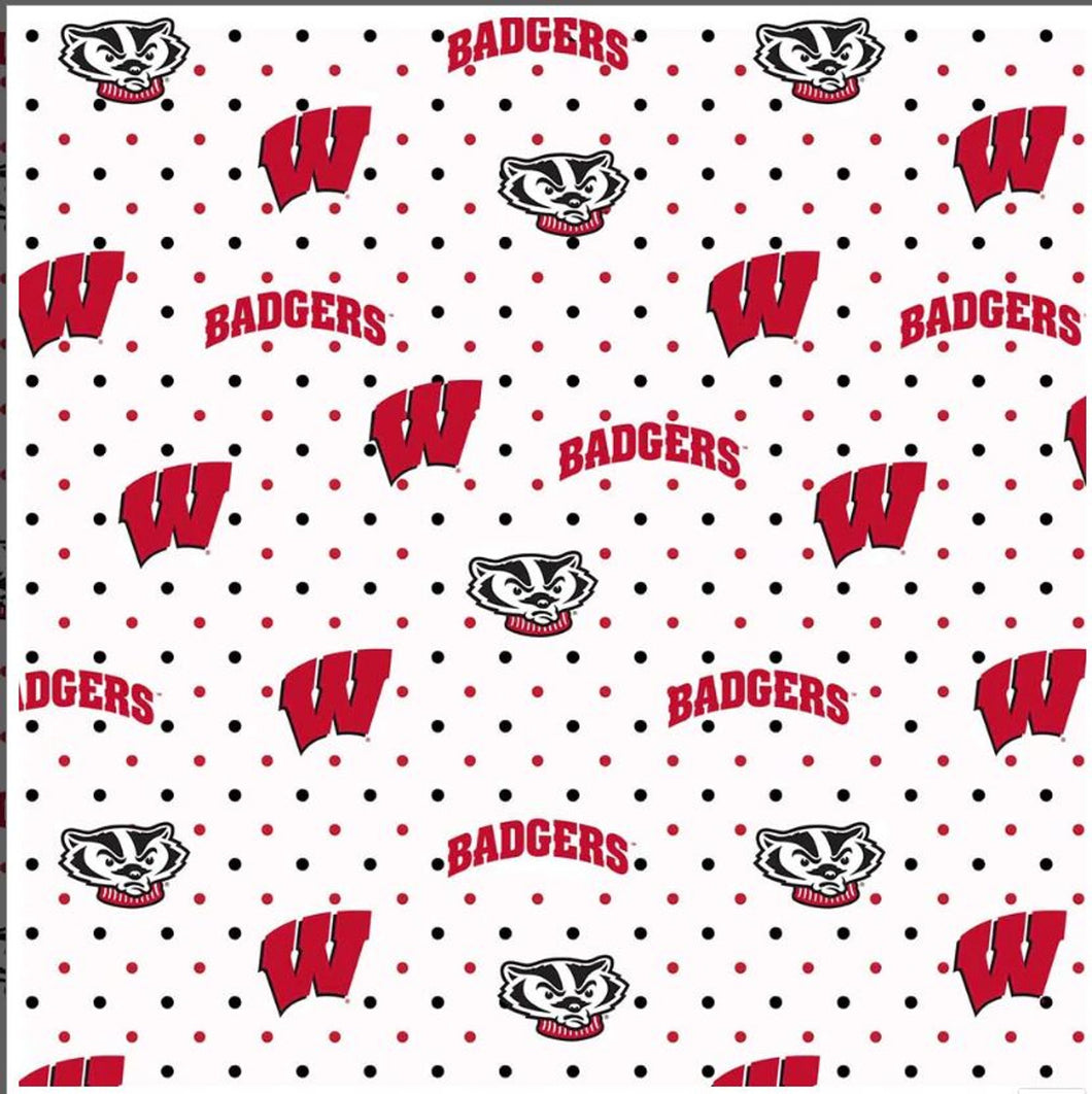 University of Wisconsin Badgers Zipper Bag