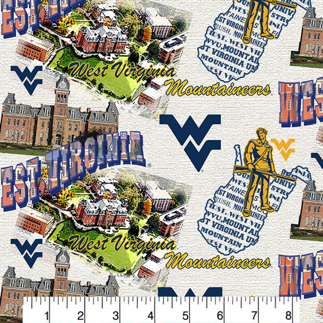 University of West Virginia Zipper Bag