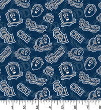 Load image into Gallery viewer, Old Dominion University Zipper Bag
