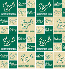 Load image into Gallery viewer, University of South Florida Zipper Bag

