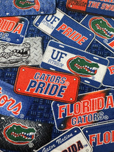 Load image into Gallery viewer, Florida Gators UF License Plates Zipper Bag
