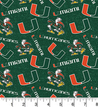 Load image into Gallery viewer, University of Miami Hurricanes Zipper Bag
